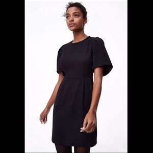 Loft Puff Sleeve Sheath Dress